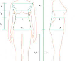 女子の体型を確認するコツ